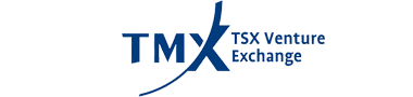 TSXV logo