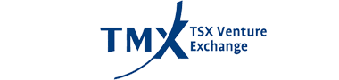 TSXV logo